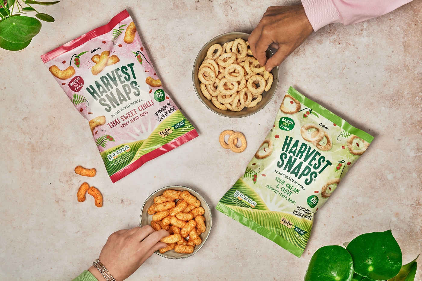 Harvest Snaps Sharing